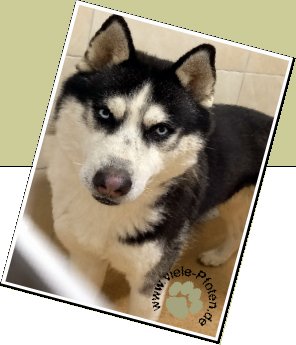 Bild : Kenji