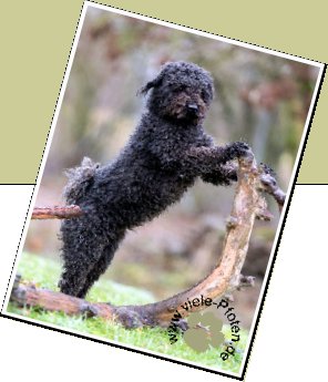 Bild : Mizzy