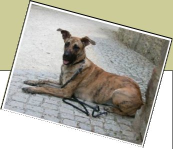 Bild : Ronja