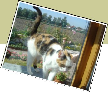 Bild : Tami