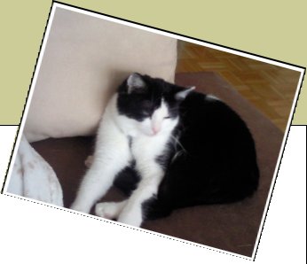 Bild : Charlie