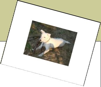 Bild : Bella