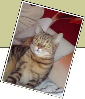 Bild : resi