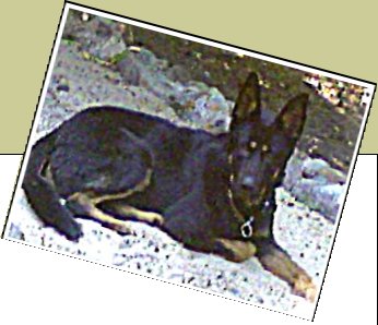 Bild : Bomber