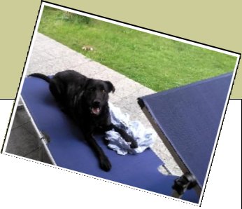 Bild : Gina