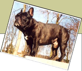 Bild : Coco