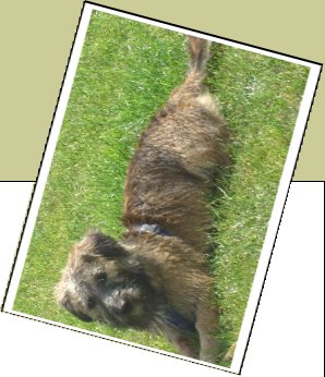 Bild : Blacky