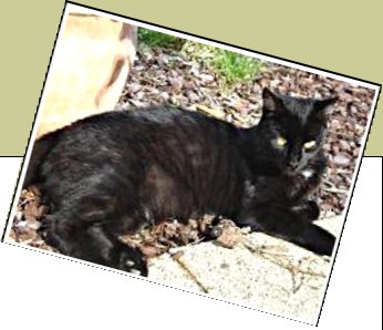 Bild : Lui