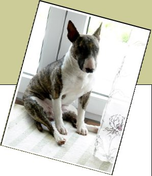 Bild : Kiara