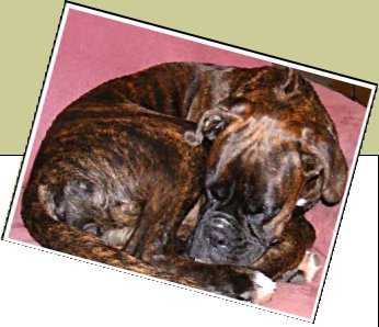 Bild : Amy
