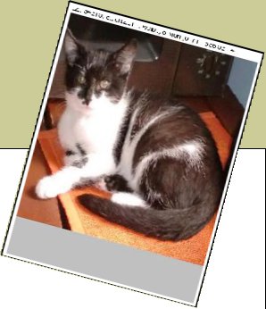 Bild : Seraphina