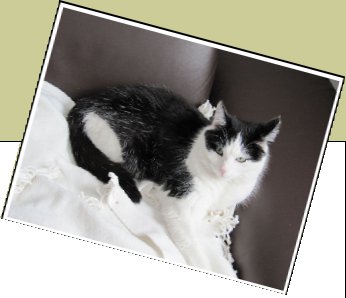 Bild : Wilma