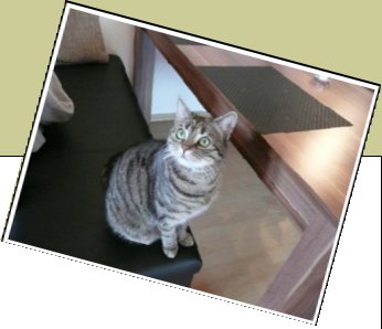 Bild : Leila