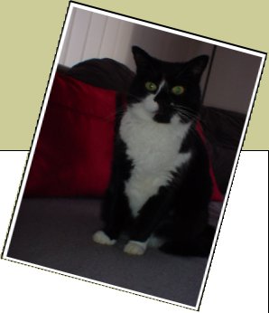 Bild : Lucky