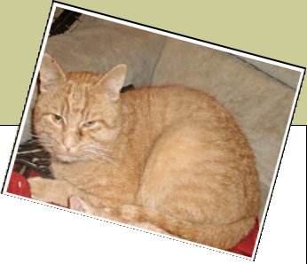 Bild : Felix