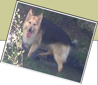 Bild : Beerle