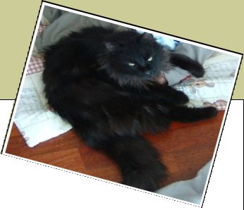 Bild : BUFFY