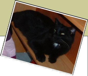 Bild : SPARKY