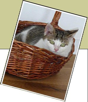 Bild : Lucky