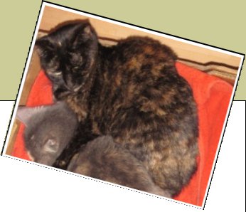 Bild : Laila