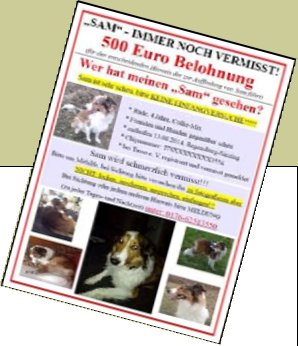 Bild : sam