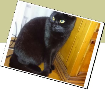 Bild : ???