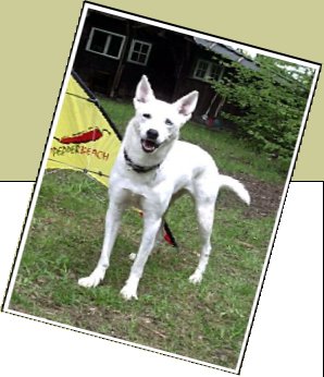 Bild : Laska