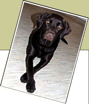 Bild : Shary