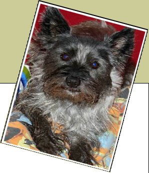 Bild : Asta