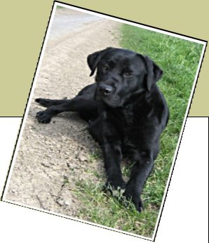 Bild : Luna