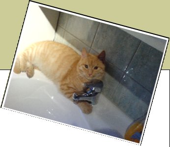 Bild : Boris