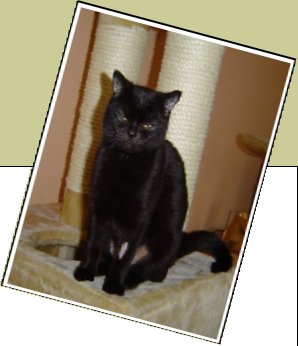 Bild : Luna