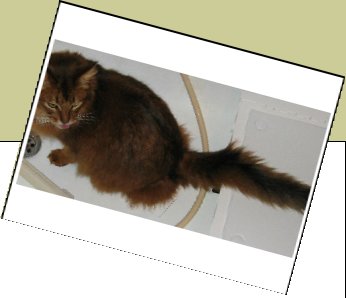 Bild : Lucky